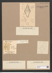Omphalopsis australis Grev. (de-Toni-Nr.: Genus 82, Species 2897) Zeichnungen Sammlung Grunow Nr. 5885 (NHMW-BOT-W0374337)
